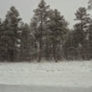 Meet your Posher, Gwen